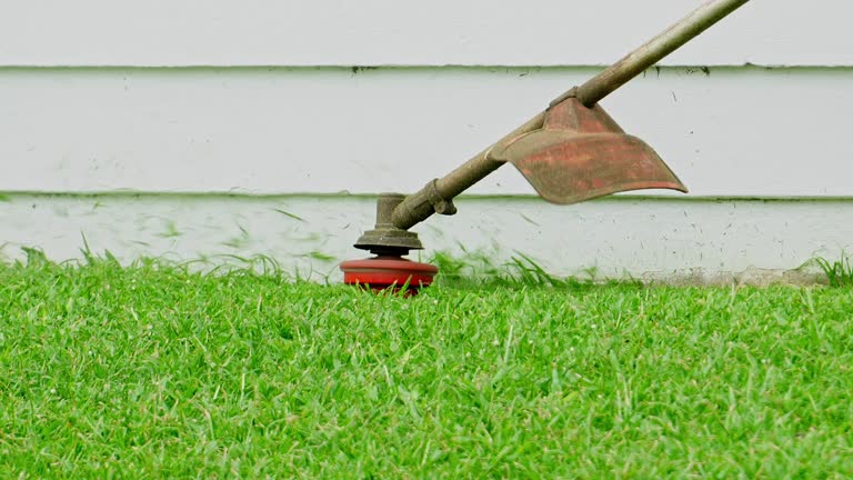 Grass Overseeding in Briggs, OK